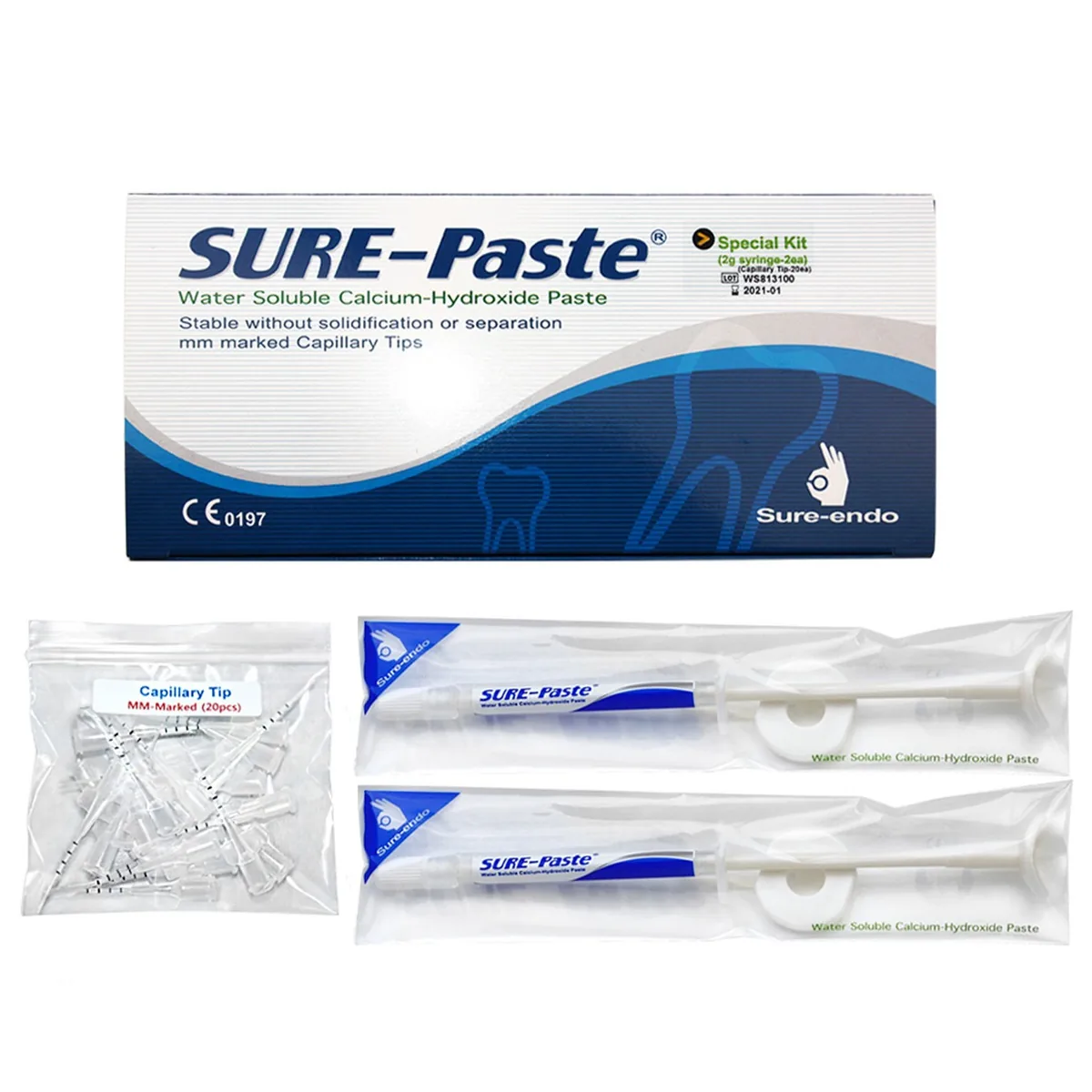 Сюр паста 1 шприц 2г , Sure-Paste (Sure Endo)