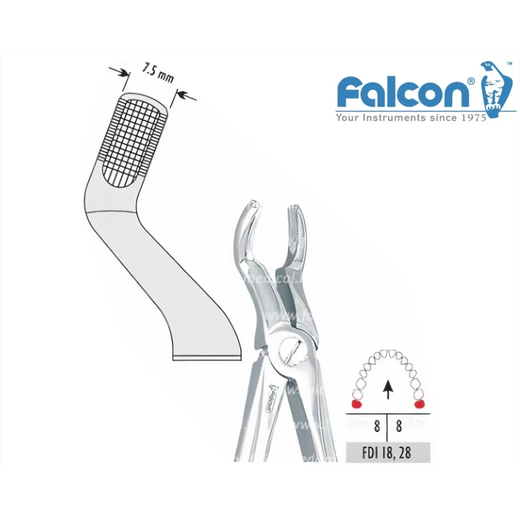Щипці екстракційні 1шт. DE.800.671 (FALCON)