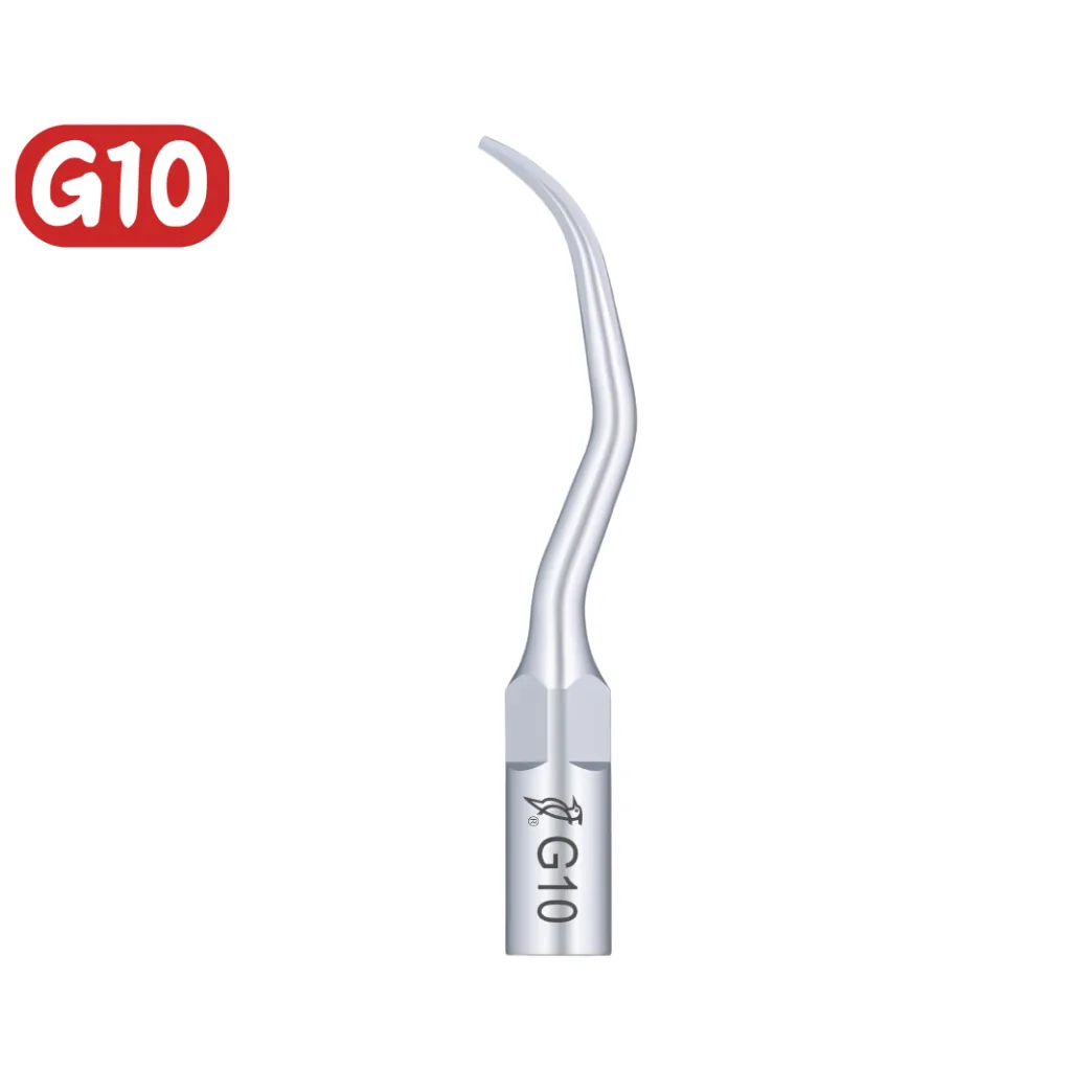 Насадка на скейлер G10 (Woodpecker)