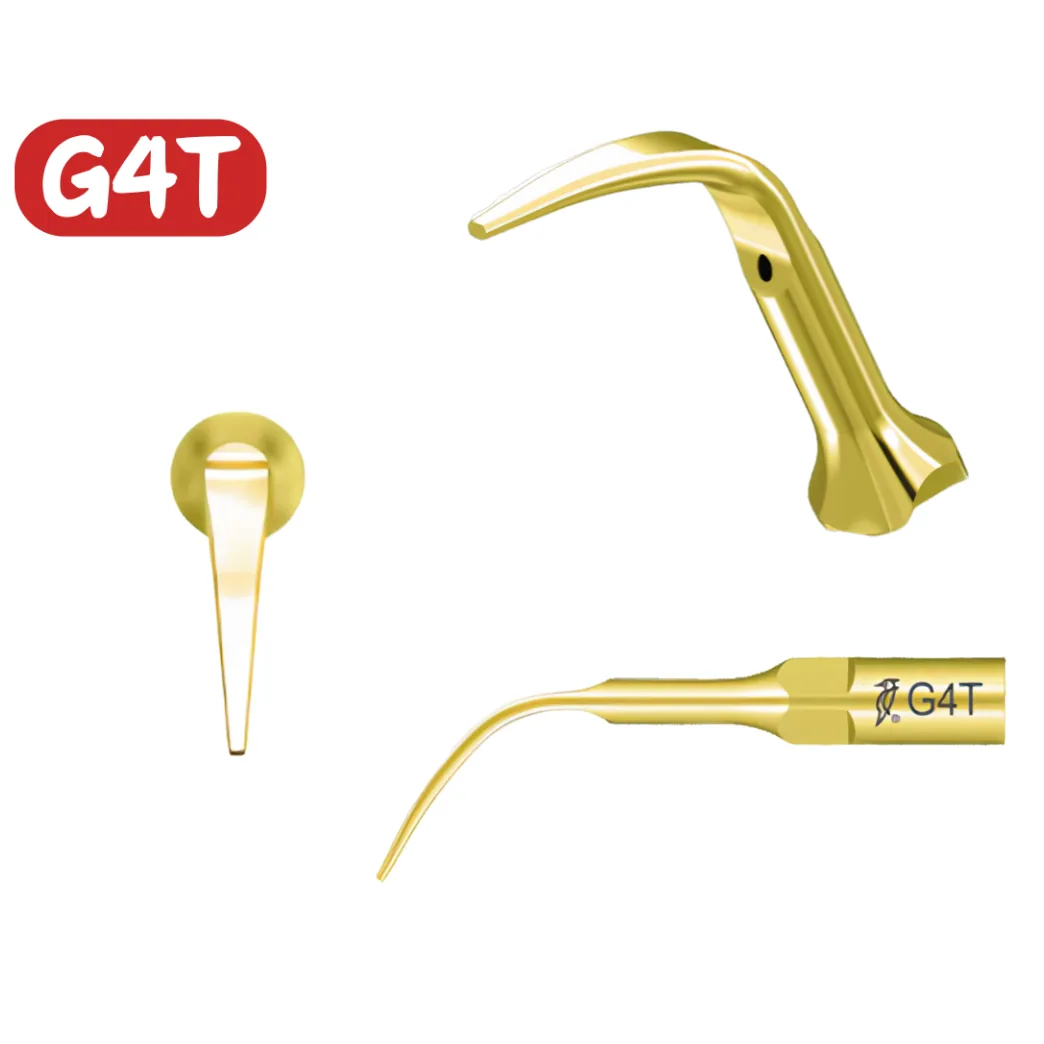 Насадка на скейлер G4T (Woodpecker)