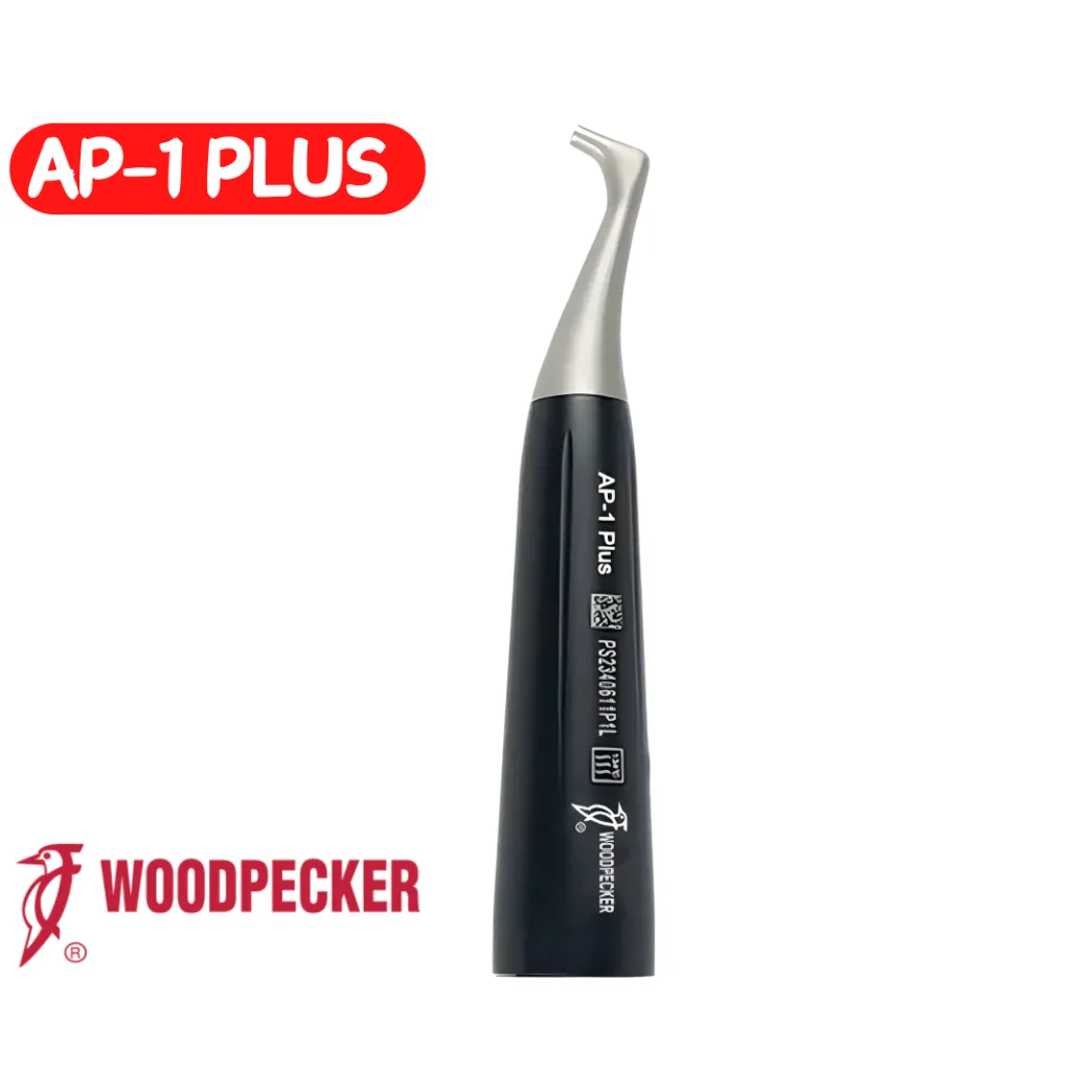 Содоструйна насадка AP-1 для AP-H Plus (Woodpecker)