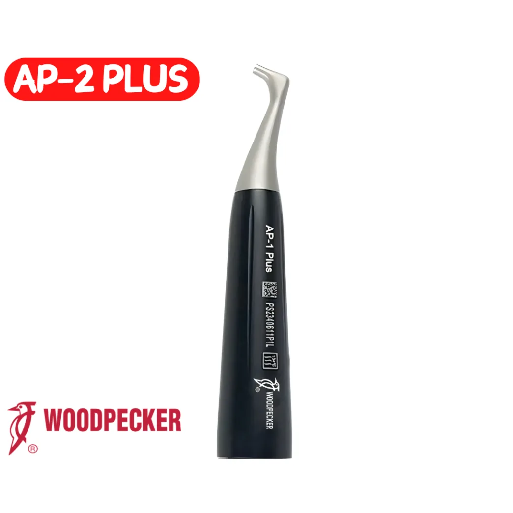 Содоструйна насадка AP-2 для AP-H Plus (Woodpecker)