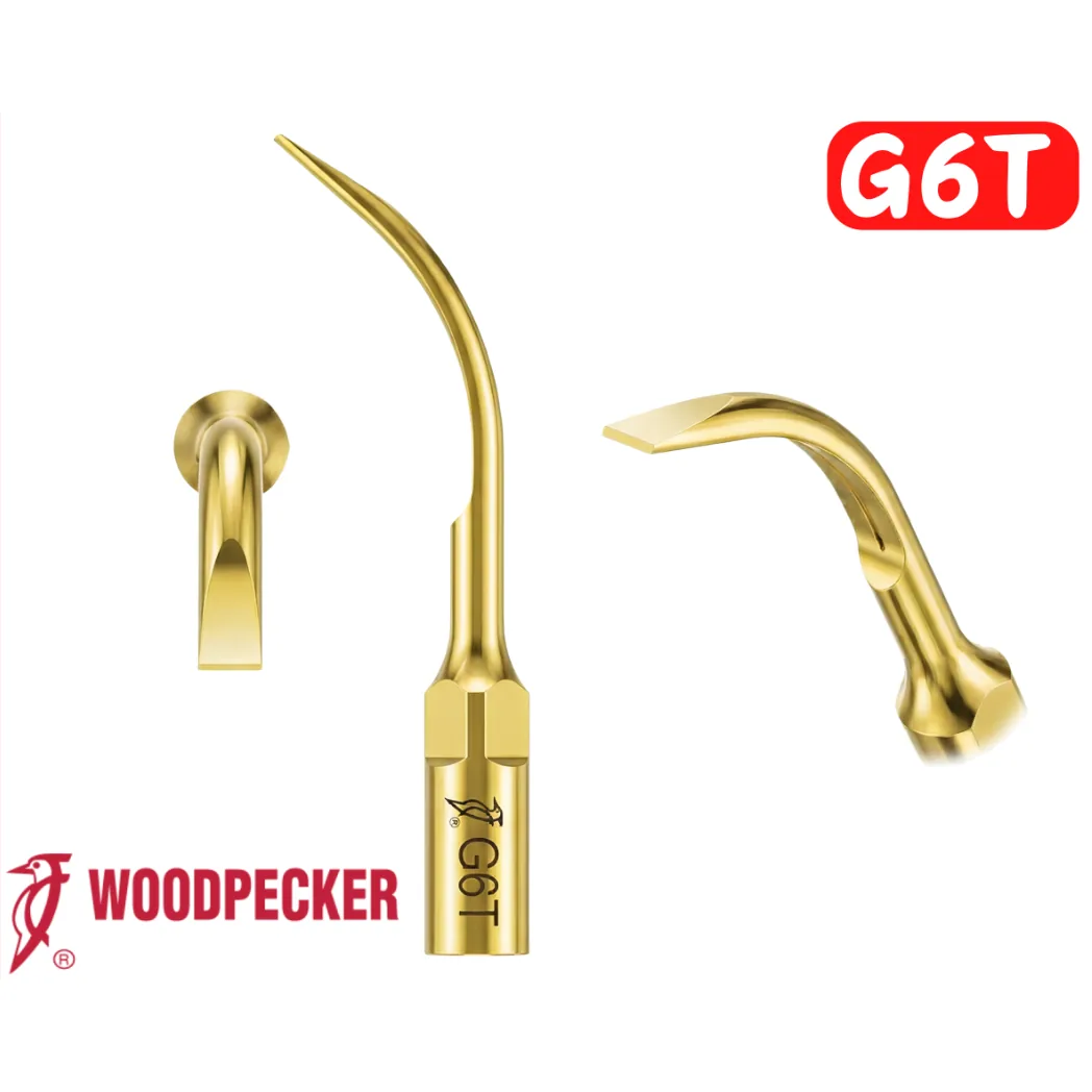 Насадка G6T Gold, насадка для видалення масивних відкладень (Woodpecker)