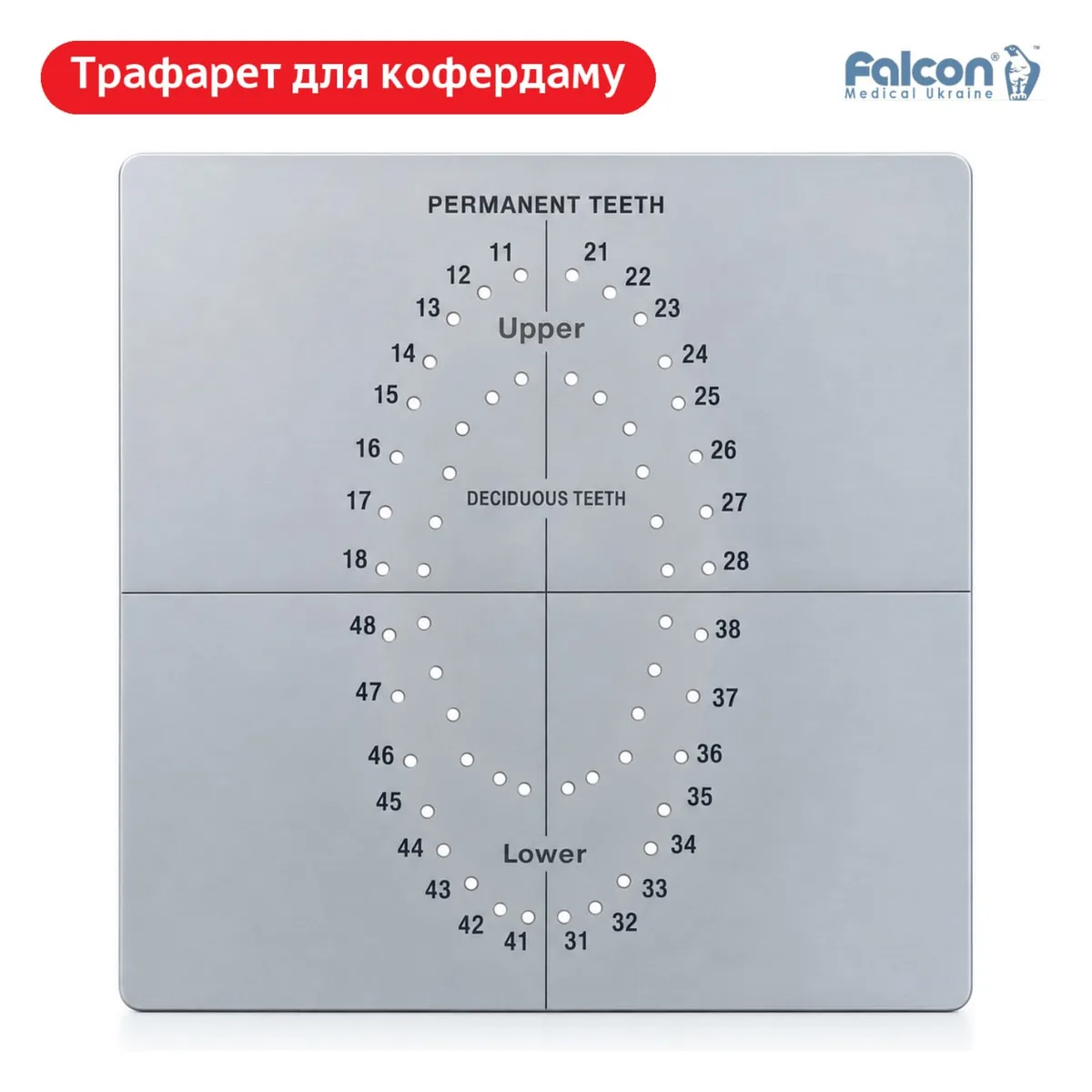 Металевий шаблон-трафарет для розмітки отворів на рабердамі, зуби 11-48 DR.948.000 (Falcon)
